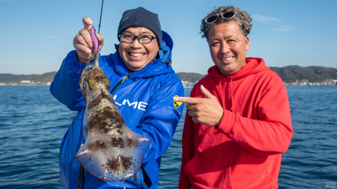 アオリイカ釣り／静岡県沼津市・原海岸放水路 | つり人オンライン